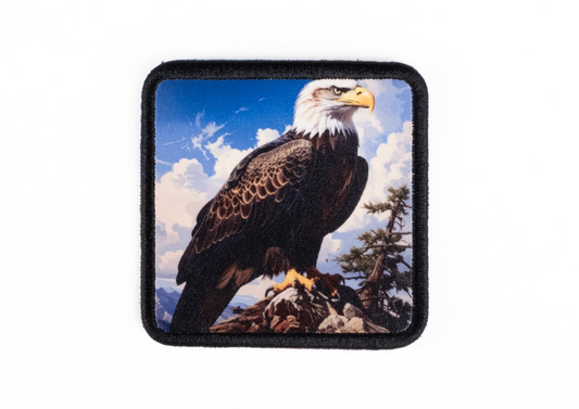 Kartal V2 Logolu Patch