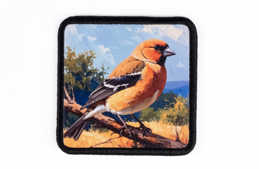 İspinoz Logolu Patch