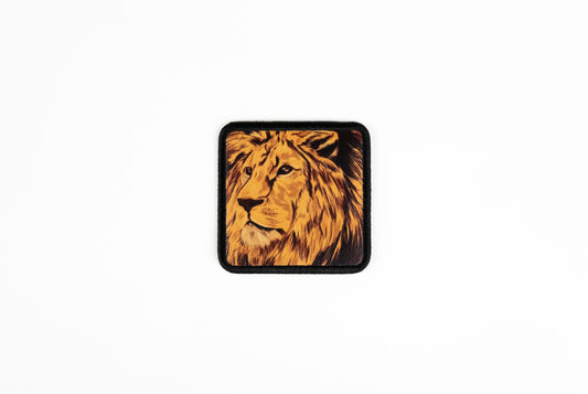 Aslan v2 Logolu Patch