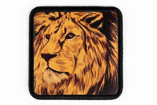 Aslan v2 Logolu Patch