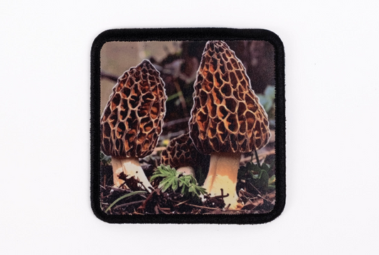 Kuzugöbeği Mantar Logolu Patch